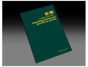 石家莊專(zhuān)業(yè)設(shè)計(jì)服務(wù) 從品牌形象到視覺(jué)傳達(dá)的一站式解決方案